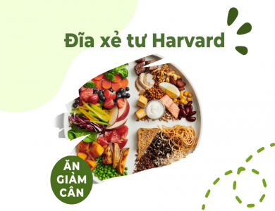 Harvard Plan liệu có phải chế độ ăn uống tốt nhất hiện nay?
