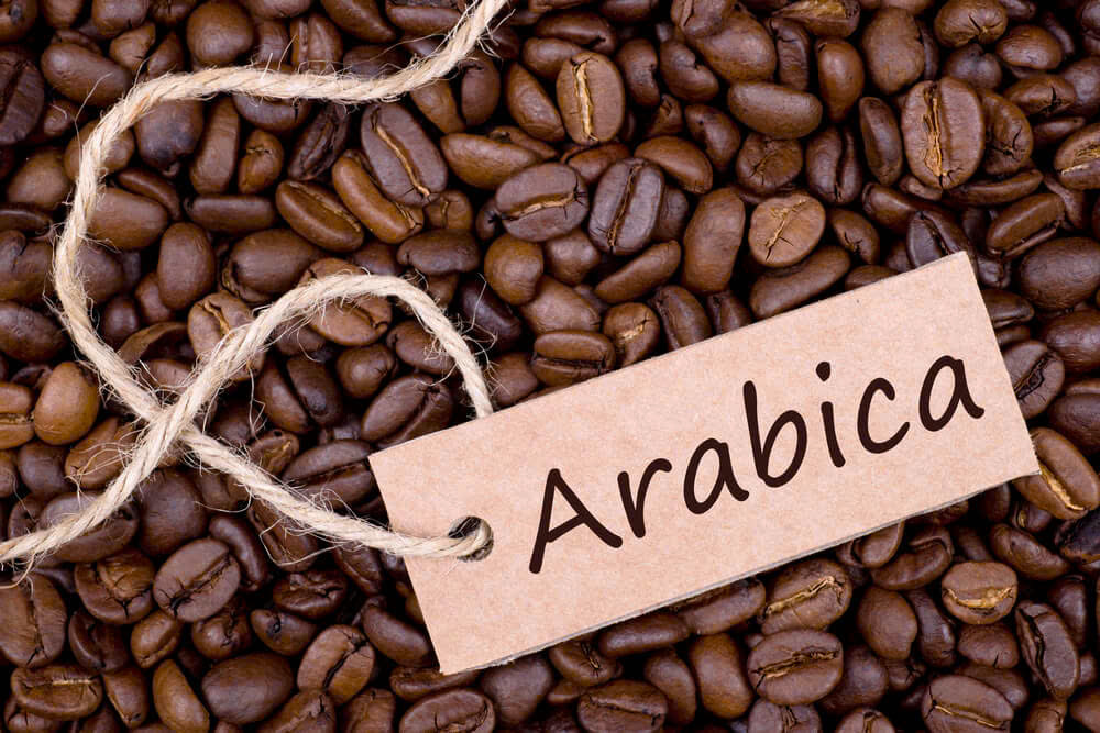 hat-ca-phe-arabica-khe-sanh-dac-san-quang-tri